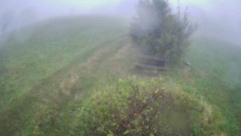 Snímek    13.9.2025 v 09:00