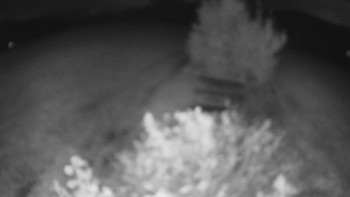 Snímek    13.9.2025 v 21:00