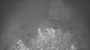 Snímek    13.9.2025 v 22:00