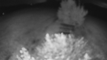 Snímek    13.9.2025 v 23:30