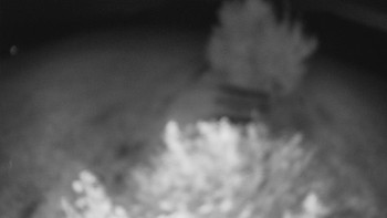 Snímek    14.9.2025 v 00:00