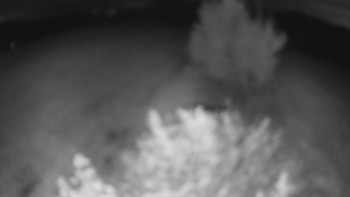Snímek    15.9.2025 v 21:00