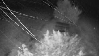Snímek    16.9.2025 v 03:30