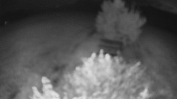 Snímek    16.9.2025 v 05:00