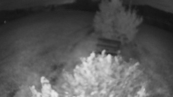 Snímek    16.9.2025 v 05:30