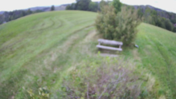 Snímek    16.9.2025 v 13:00