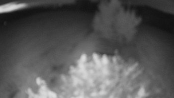 Snímek    16.9.2025 v 20:00