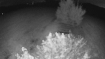 Snímek    16.9.2025 v 21:00