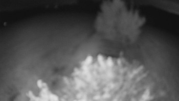 Snímek    16.9.2025 v 22:00