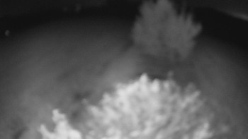 Snímek    17.9.2025 v 00:30
