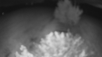 Snímek    17.9.2025 v 03:30