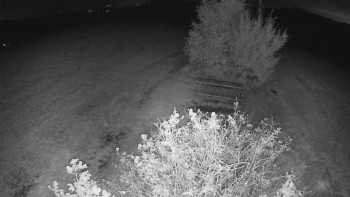 Snímek    17.9.2025 v 04:30
