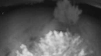 Snímek    17.9.2025 v 05:30