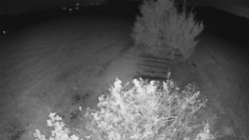 Snímek    17.9.2025 v 21:30