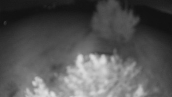 Snímek    17.9.2025 v 22:00