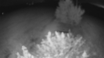 Snímek    19.9.2025 v 03:00