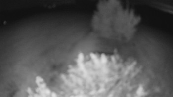 Snímek    19.9.2025 v 04:30