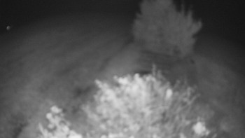 Snímek    30.9.2025 v 03:30