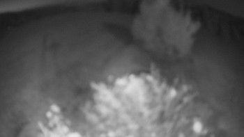 Snímek    3.10.2025 v 19:30