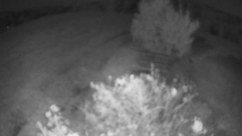 Snímek    4.10.2025 v 00:00