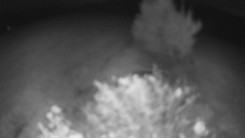 Snímek    4.10.2025 v 03:30