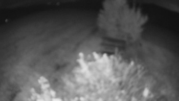 Snímek    5.10.2025 v 03:30