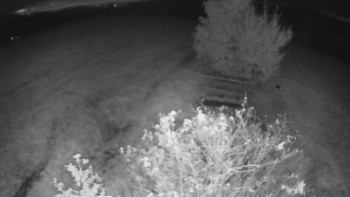 Snímek    11.10.2025 v 19:00