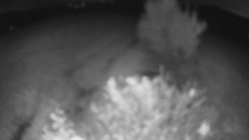 Snímek    13.10.2025 v 20:30