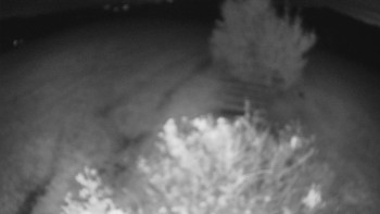 Snímek    13.10.2025 v 21:00