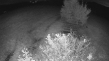 Snímek    13.10.2025 v 21:30