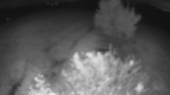 Snímek    13.10.2025 v 22:00