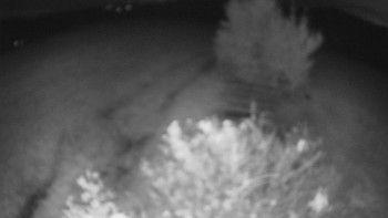 Snímek    13.10.2025 v 23:00