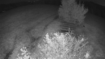 Snímek    14.10.2025 v 04:30