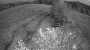 Snímek    14.10.2025 v 06:30
