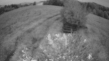 Snímek    14.10.2025 v 18:30
