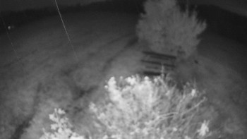 Snímek    14.10.2025 v 19:00