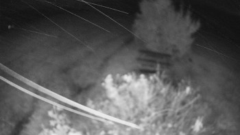 Snímek    14.10.2025 v 19:30