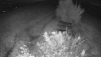 Snímek    14.10.2025 v 20:00