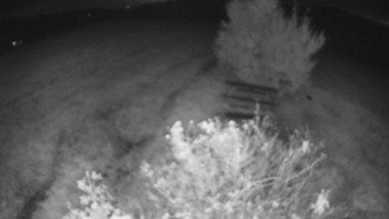Snímek    14.10.2025 v 20:30