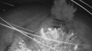 Snímek    14.10.2025 v 21:00