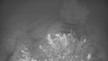 Snímek    15.10.2025 v 03:30