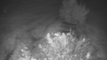 Snímek    15.10.2025 v 05:00