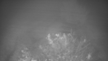 Snímek    15.10.2025 v 06:00