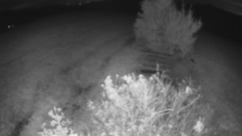 Snímek    15.10.2025 v 20:30
