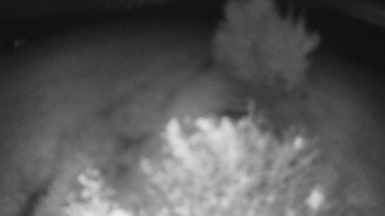 Snímek    15.10.2025 v 22:00