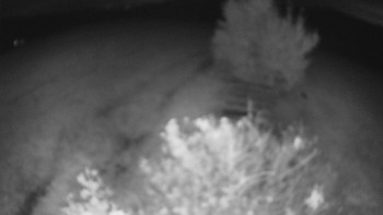Snímek    15.10.2025 v 22:30