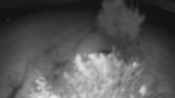 Snímek    15.10.2025 v 23:00