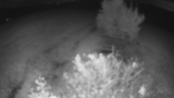 Snímek    15.10.2025 v 23:30