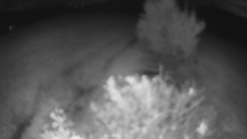 Snímek    16.10.2025 v 03:00