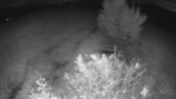 Snímek    16.10.2025 v 05:30